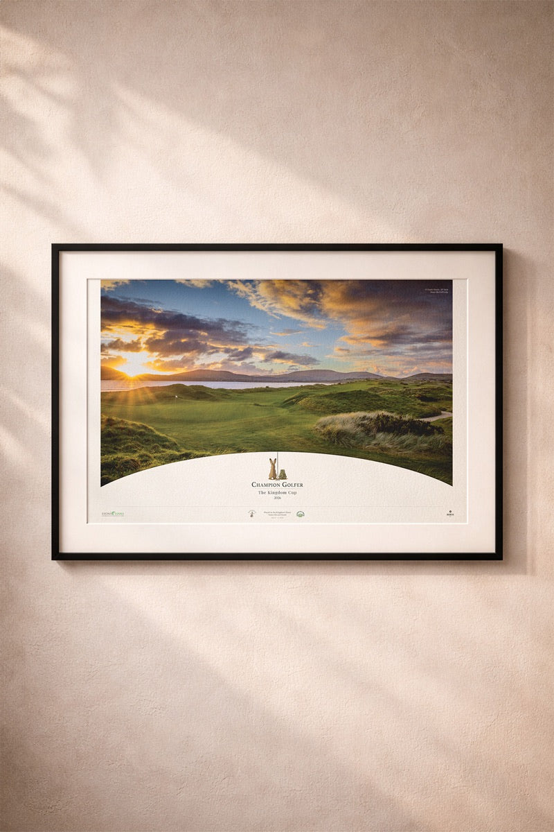 A framed BHÍOS prize piece hanging on a wall